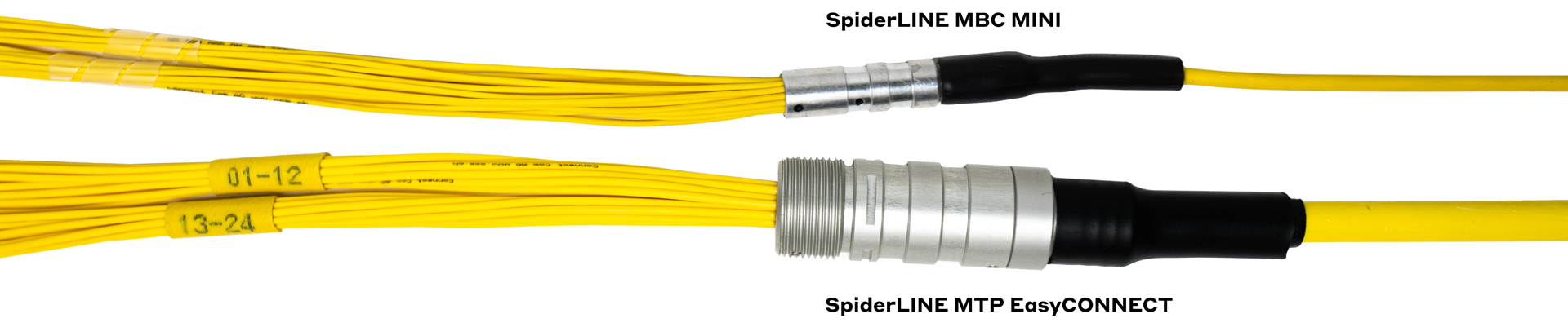 Comparaison des fouets Câble SpiderLINE