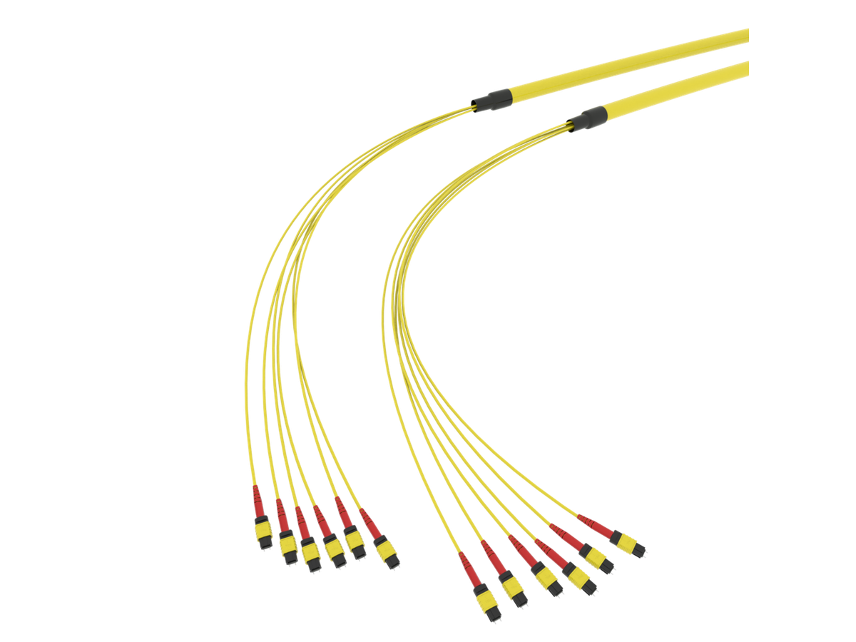 SpiderLINE MTP EasyCONNECT
