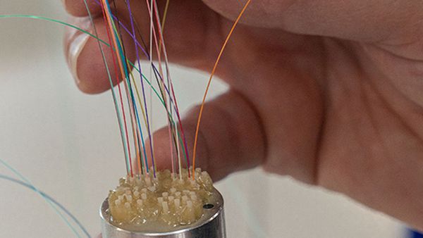 SpiderLINE® – Die smarte Glasfaserlösung aus Schweizer Produktion