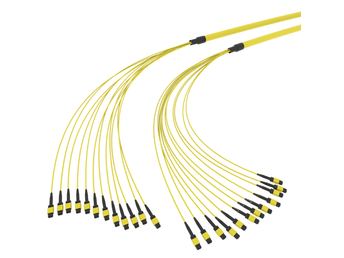 SpiderLINE MTP EasyCONNECT