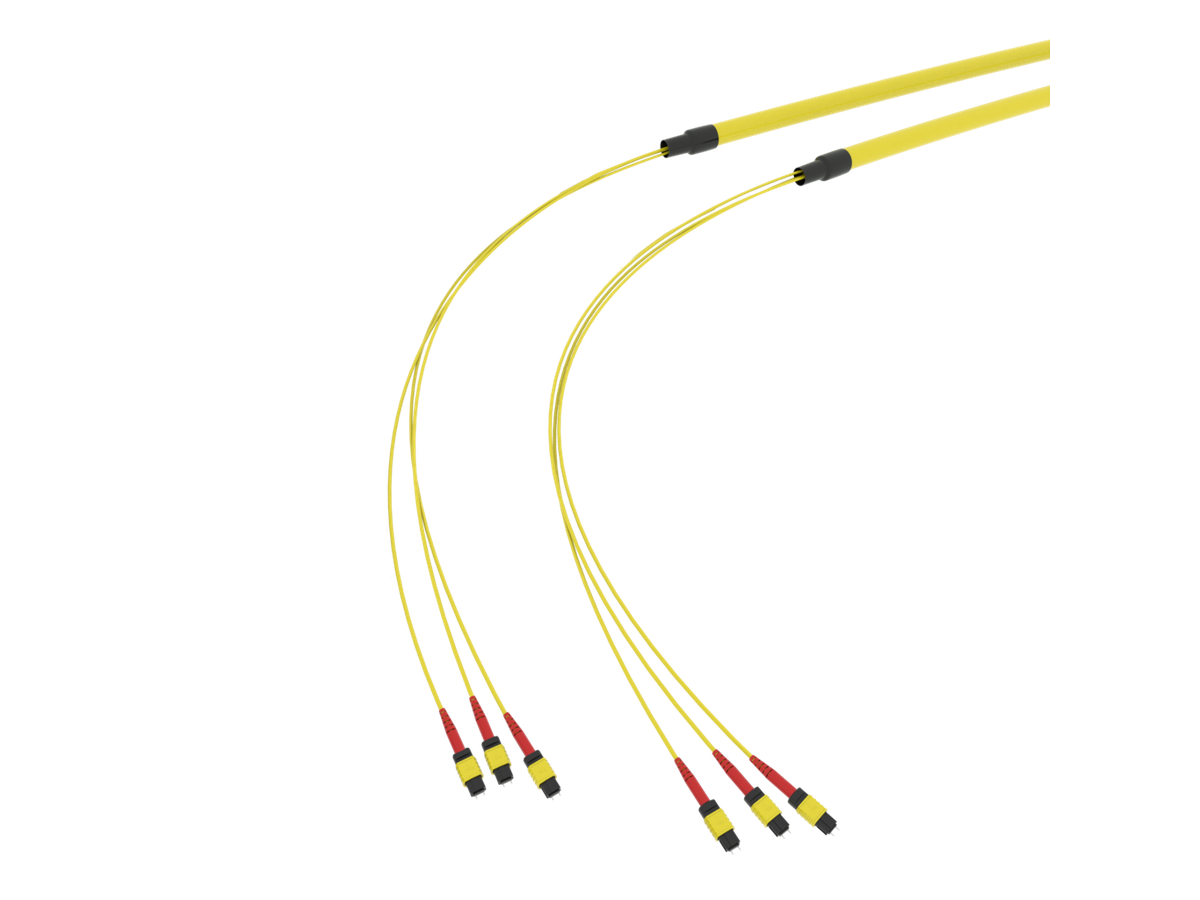SpiderLINE MTP EasyCONNECT