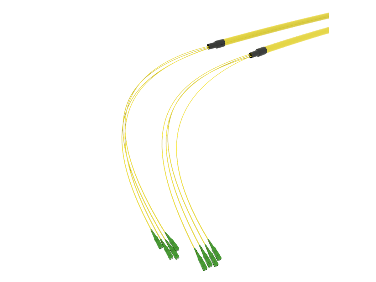 SpiderLINE BC