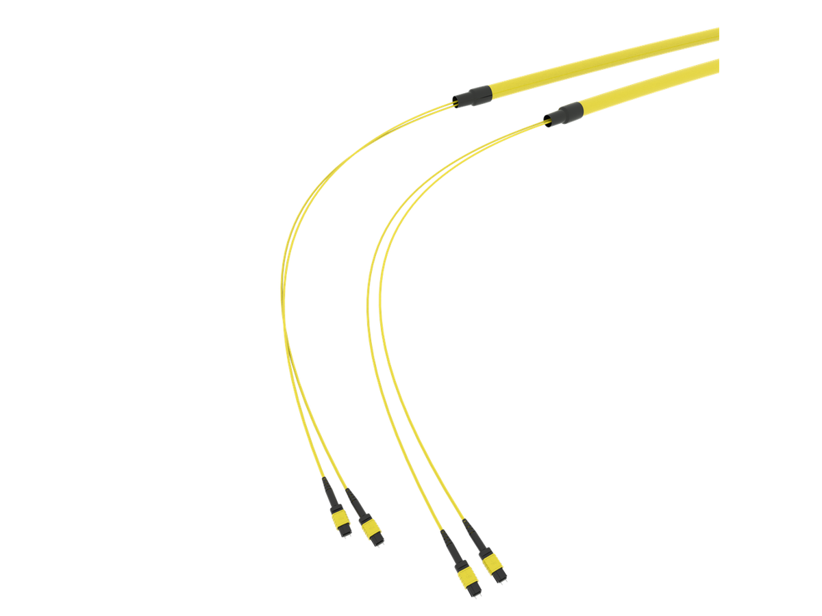 SpiderLINE MTP EasyCONNECT