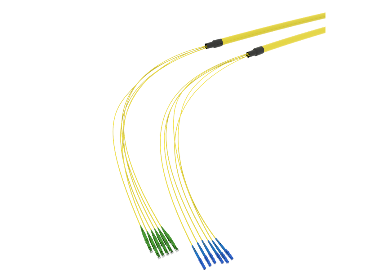 SpiderLINE BC