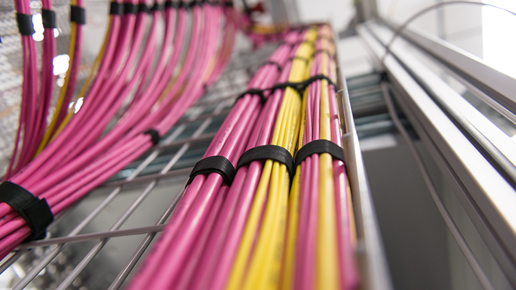 Câble de raccordement à fibres optiques